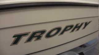 2002 Used Trophy 1802  Clemons Boats [upl. by Emilio603]