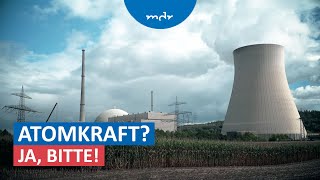 Warum manche Länder wieder auf Kernenergie setzen  Umschau  MDR [upl. by Aimit139]