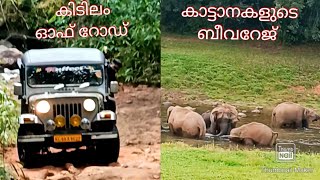 Mankulam trip off road jeep safari Anakkulam wild elephants Water falls hanging bridge Tribals [upl. by Pryce484]