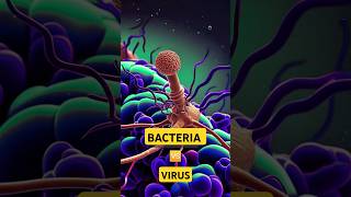 Bacteria 🆚 Virus [upl. by Norek103]