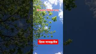 কি করলে রিজিক বাড়ে mizanurrahmanazhari follow khfamilyking waz noakhali dua [upl. by Manuela774]