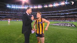 AFL 2013 LAST 5 MINUTES  Hawthorn vs Geelong Preliminary Final [upl. by Cod]