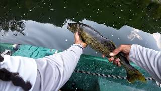 Fishing the Upper Delaware For Smallmouth Bass Pt 2 [upl. by Enilrad878]