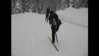 Australian XC Ski Team  Secret Training Session [upl. by Ylimme54]