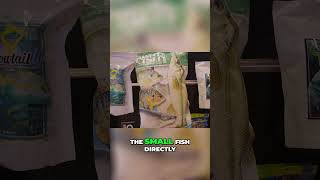 Stop Turning Your Ponds GREEN  Grow BIG FISH Instead bassfishing icast2024 fishbait [upl. by Anabahs577]