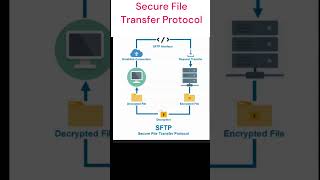 SFTP vs FTPS [upl. by Odlabso]