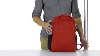 Pacsafe Metrosafe LS350 RFID Blocking AntiTheft 133” Laptop 15L Backpack  wwwbagworldcomau [upl. by Herbie]