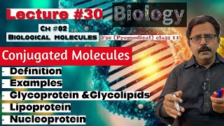 Conjugated molecules  Glycoprotein amp Glycolipids  Lipoprotein Nucleoprotein  Biology class 11 [upl. by Moody]