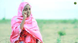 Halloo Daawwee  Ededa Jireenyaa New Oromo Music Halo Dawe Yayo Official video [upl. by Haines32]