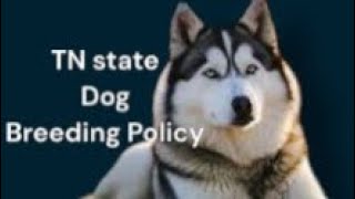 Dog Breeding Policy 2024 [upl. by Nuahsal]