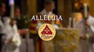 Alléluia Missa pro Europa  Chant Scout [upl. by Danie]