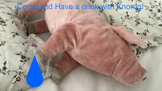 Come and have a drink with knorrig Knorrig Pig [upl. by Aurlie708]