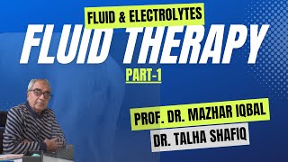 How to do Fluid Therapy in Dogs amp Cats Part1 Fluid and Electrolytes [upl. by Lancelle]