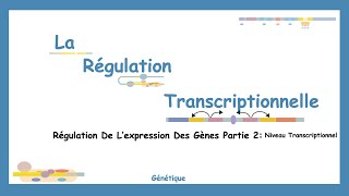 De LADN À LARN Comprendre Les Mécanismes De La Régulation Transcriptionnelle [upl. by Leyla]