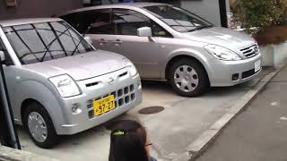 M91 Great East Japan Earthquake 2011311 Footage Part 1 [upl. by Murial]