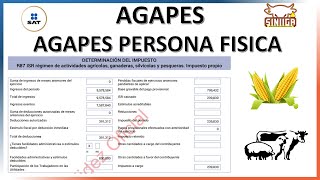 AGAPE PERSONAS FISICAS 2023 ACTUALIZADO [upl. by Ares]