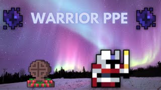 funny warrior ppeROTMG [upl. by Kristine]