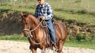 Training bei JeanClaude Dysli [upl. by Pirali397]