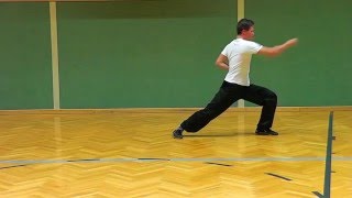 Shaolin Kung Fu Tutorial 3 Northern Basic 1 D0 [upl. by Mackie]