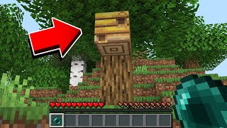 O QUE TEM DENTRO DE UMA COLMÃ‰IA DE ABELHAS DO MINECRAFT [upl. by Bobbe]