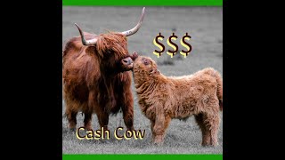 From pasture to profit How much can you make with Scottish Highland Cows [upl. by Colline]