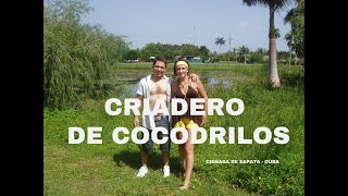 Criadero de cocodrilos Ciénaga de Zapata CUBA [upl. by Nnylhsa]