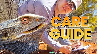 Ultimate Bearded Dragon Care Guide [upl. by Mattland]