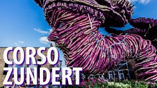 Biggest Flower Parade Corso Zundert 2018 Netherlands [upl. by Jolda]