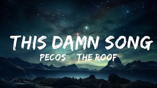 Pecos amp The Rooftops  This Damn Song Lyrics  15p LyricsLetra [upl. by Aihtniroc]