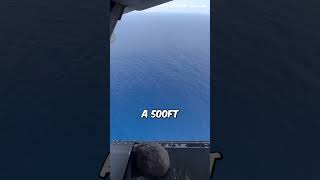 quotInsane Stuntquot Rock Dropped From Plane Over Ocean [upl. by Aizatsana]