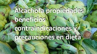 Alcachofa propiedades beneficios contraindicaciones y precauciones en dieta [upl. by Safoelc]