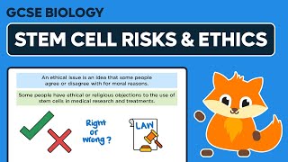 Stem Cell Risks amp Ethics  GCSE Biology [upl. by Alyt503]