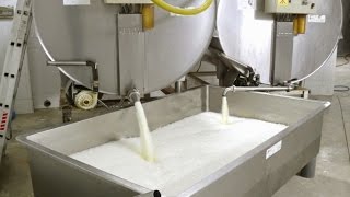 Análisis Procedimientos y Transformación de la Leche  TvAgro por Juan Gonzalo Angel [upl. by Aryamoy692]