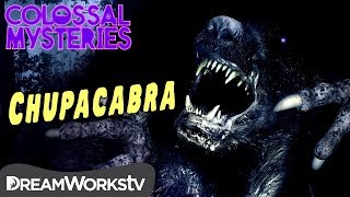 What is El Chupacabra  COLOSSAL MYSTERIES [upl. by Sidoon856]