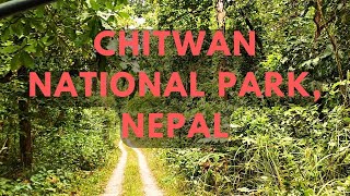 CHITWAN NATIONAL PARK  NEPAL [upl. by Anivol]