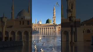 Seyyed abdul wasi qadri razvi naat shorts new viralvideo [upl. by Jeremie11]