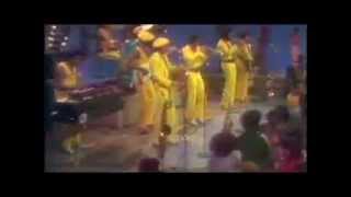 SOUL TRAIN  TIME LIFE DVD Set  SUN and Byron Byrd James Brown Temptations etc [upl. by Iilek]