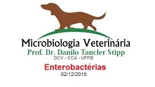 Micro Vet 20151 Aula 14  Enterobactérias [upl. by Repsihw]