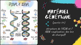 Le matériel génétique  partie 1 📣 EXPLICATION 🔔 L2 Génétique SNV GENETIQUE [upl. by Makell]