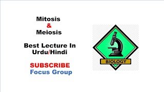 9 Mitosis amp Meiosis  Cell Division  Lecture in UrduHindi [upl. by Ytsanyd]