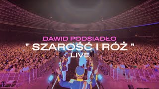 Dawid Podsiadło  Szarość i Róż Chorzów 25062022 [upl. by Arinayed373]