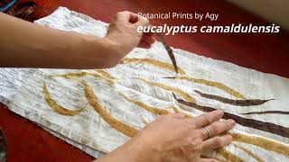 Botanical Print  Eucalyptus Camaldulensis [upl. by Odrarej]