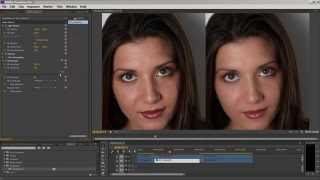 Portraiture Plugin for Video Tutorial [upl. by Rugg]