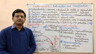 Corticosteroids Part 01  Introduction and Classification of Corticosteroids  Corticosteroids [upl. by Yendis]