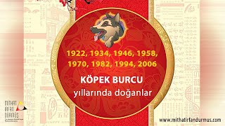 Çin Astrolojisi Burçlar  11  Köpek Burcu [upl. by Phineas188]