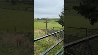 manchester park viralvideo views Good Morning bolton viralshorts [upl. by Panther]