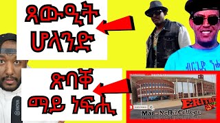 ጻውዒት ሰላማዊ ሰልፊ ሆላንድ፣ ኣብ ኤርትራ ዘሎ ፕሮፖጋንዳ  Yikealo Tv [upl. by Velda]