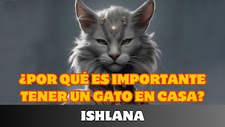 🐈 ISHLANA ¿POR QUÉ ES IMPORTANTE TENER UN GATO EN CASA [upl. by Bliss]