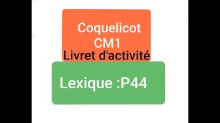 Livret dactivitéunité 5  Lexique Les préfixes page 44 [upl. by Aiykan667]