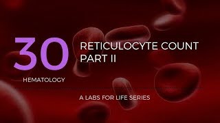 Reticulocyte Count Part II [upl. by Anilatak663]